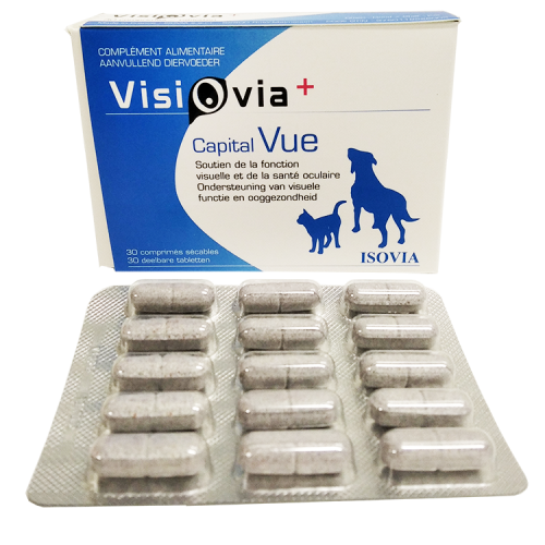 Visovia+ eye support food supplement